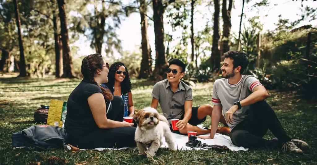 ptsd support network recovery dubai New Life Dubai